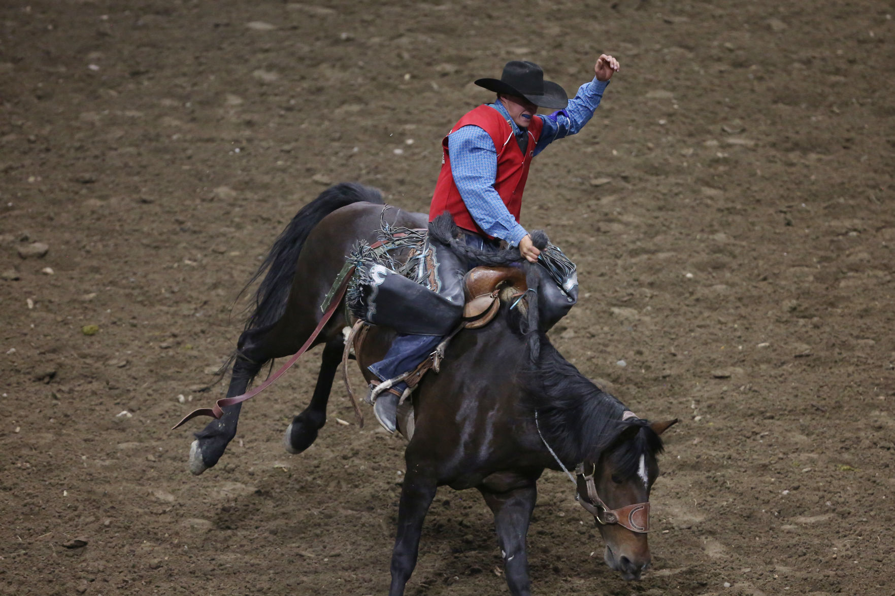 CNFR